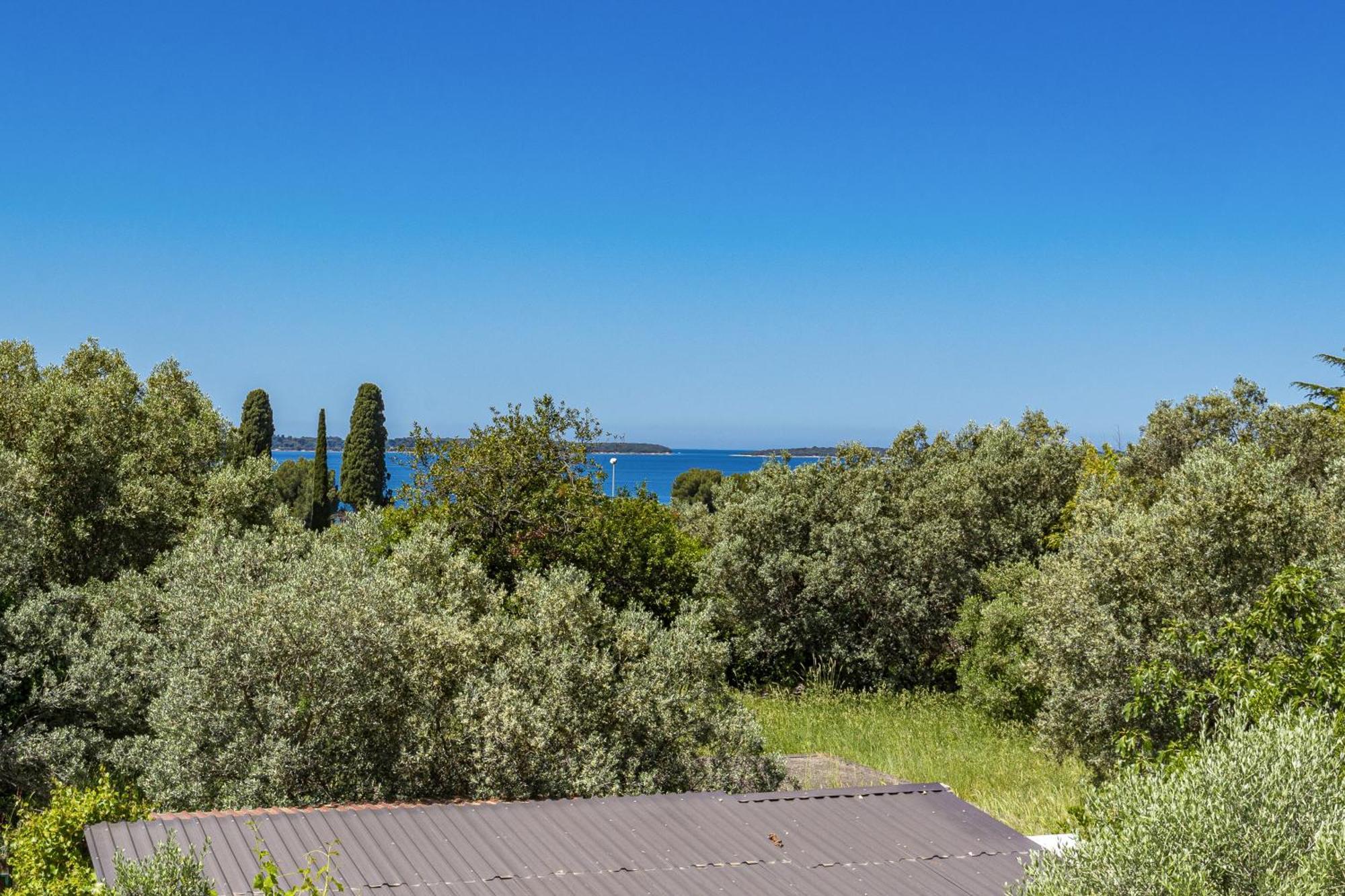 Apartment Nenad - Amazing Sea View ! Only 500 Meters From The Beach ! Fažana Exterior foto